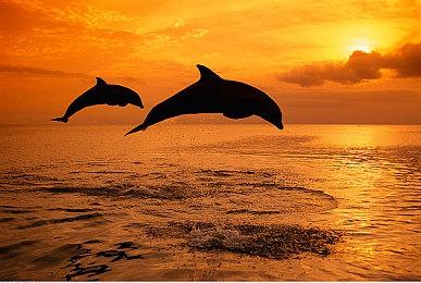 古装互动游戏《许愿，我要带她们回现代》公布发售日